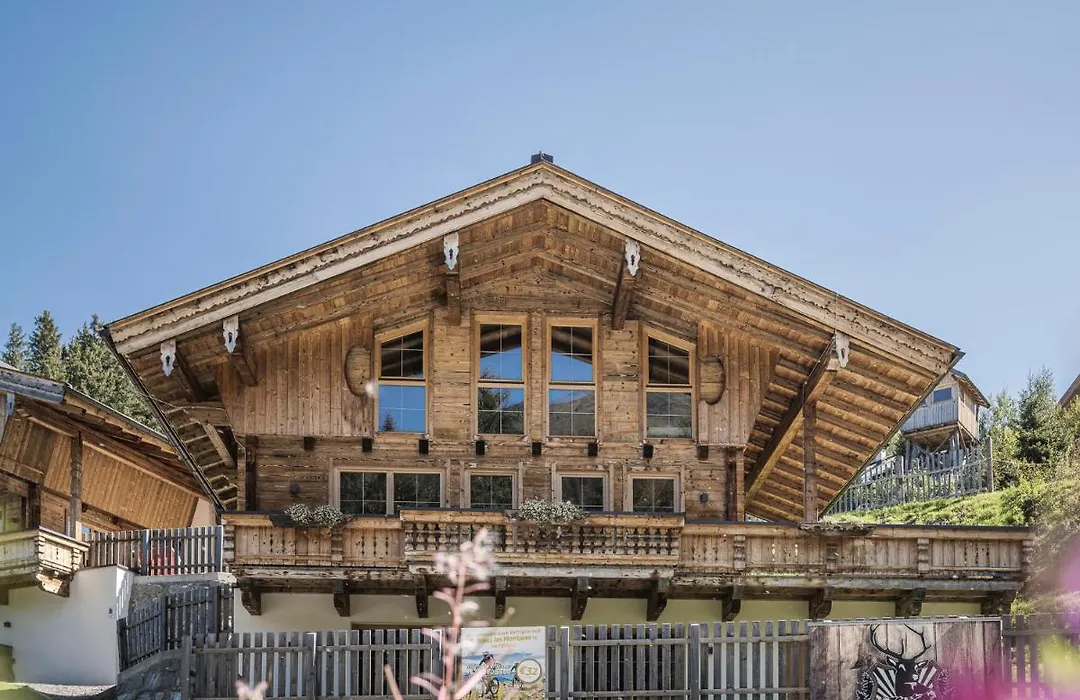 Appart&Chalet Montana Hochfügen (Contactless Stay)-1