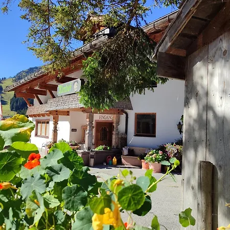 Hotel Almhof-2